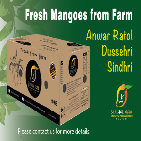 1 social media ad Mango add