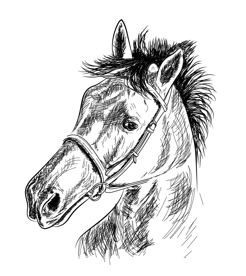 Horse (Draw with digital tablet)-01